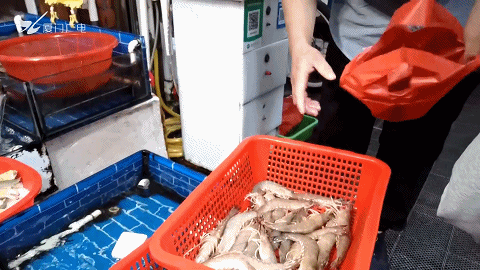 21點：大貓膩！買2斤海鮮，塑料袋就值11元！記者廈門市場實測