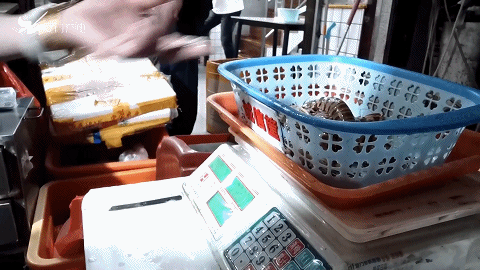 21點：大貓膩！買2斤海鮮，塑料袋就值11元！記者廈門市場實測